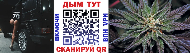 Купить где  Кыштым  Конопля план 